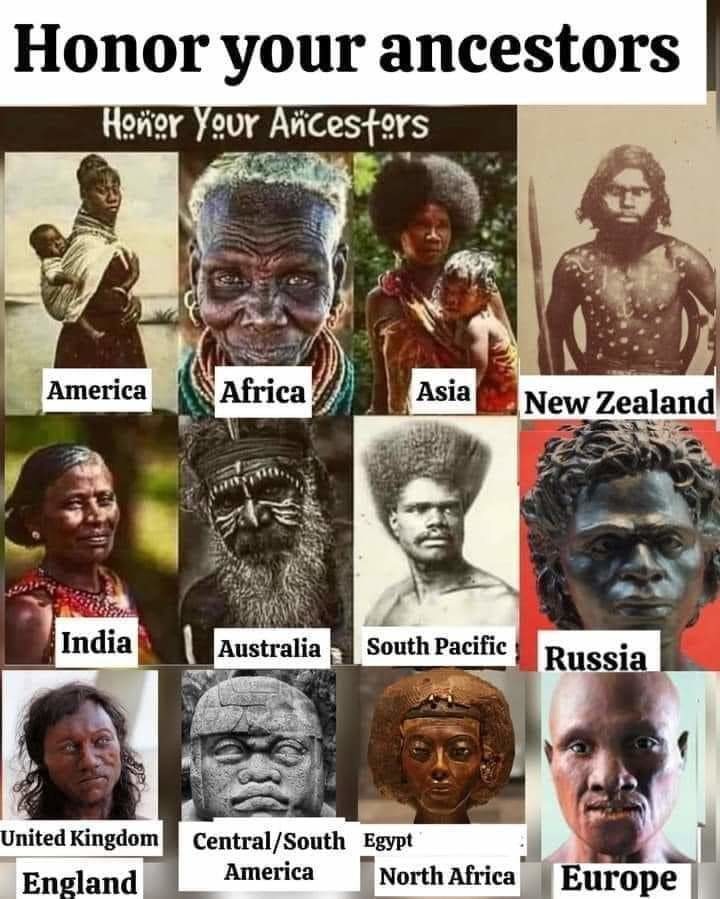 We wuz kangz - meme