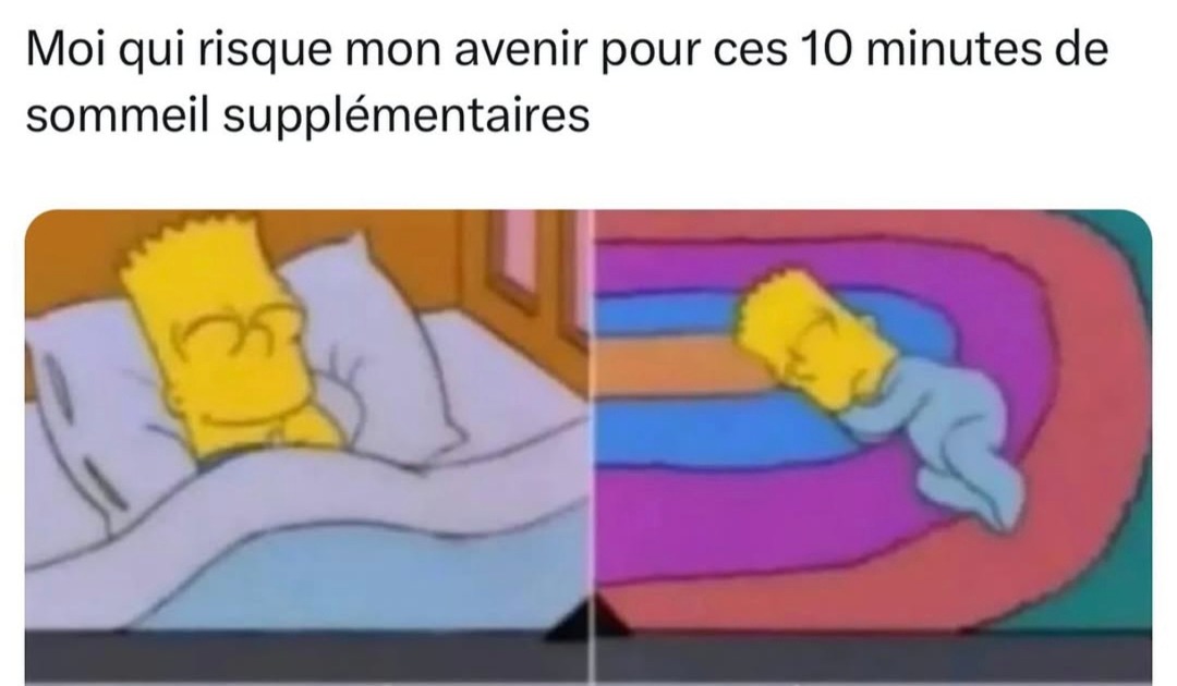 Ce moment où 10 minutes de sommeil valent ton avenir - meme