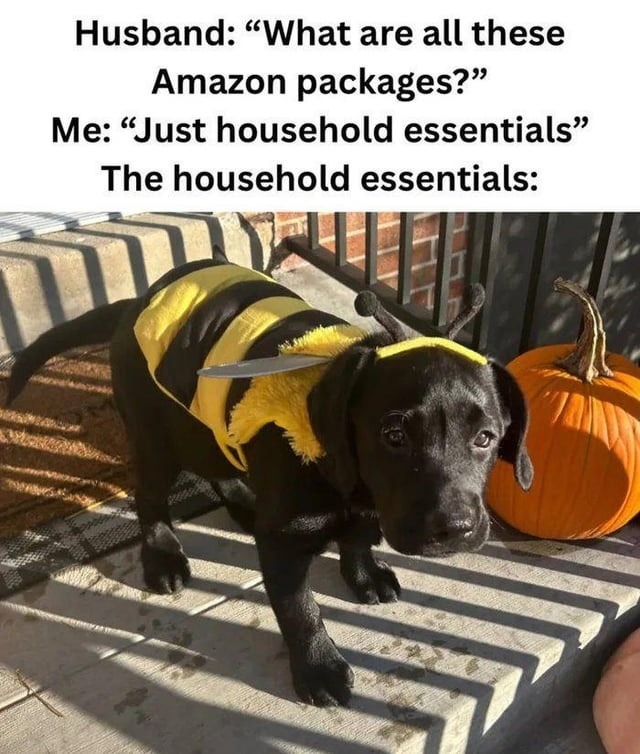 Me: they're essentials. Also me: 47 Amazon boxes - meme