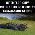 We need assault gator control!