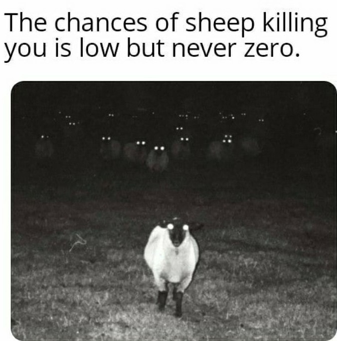 The best sheep memes :) Memedroid