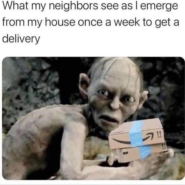 What my neighbors see as I emerge from my house once a week to get a delivery - meme