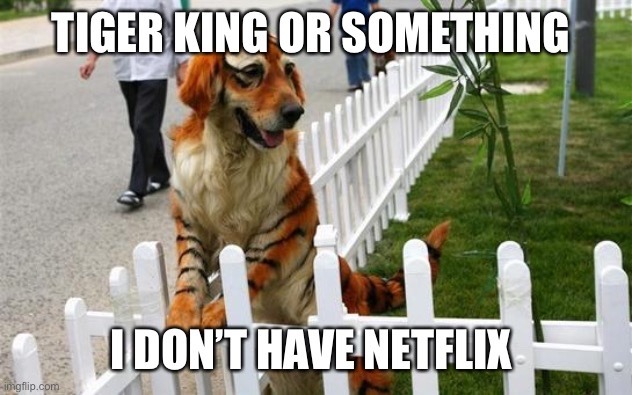 Tiger King - meme