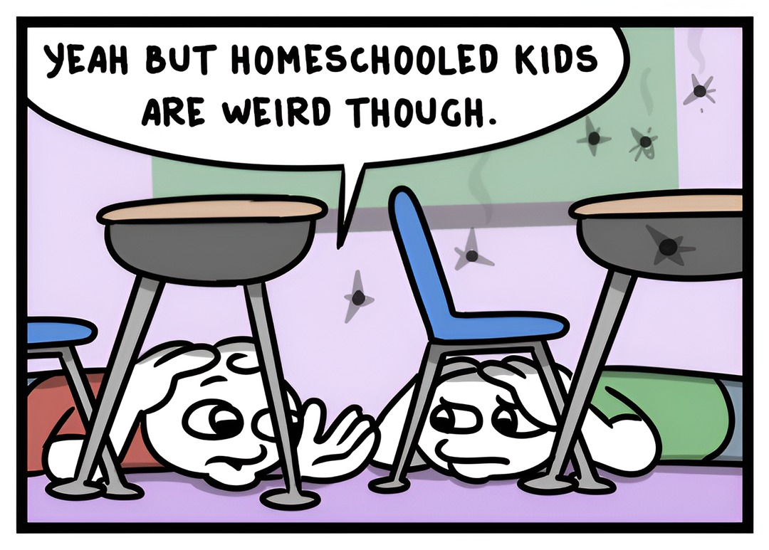 Homeschooled kids are free from madness - meme