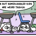 Homeschooled kids are free from madness