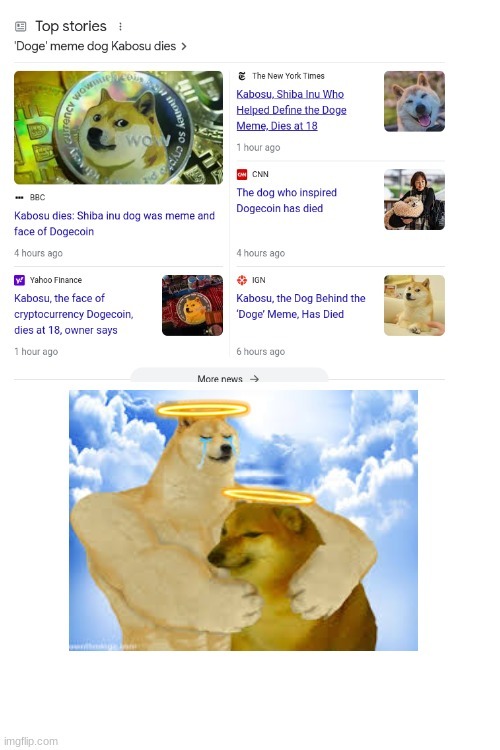 rip doge. you will be missed. join cheems up there - meme