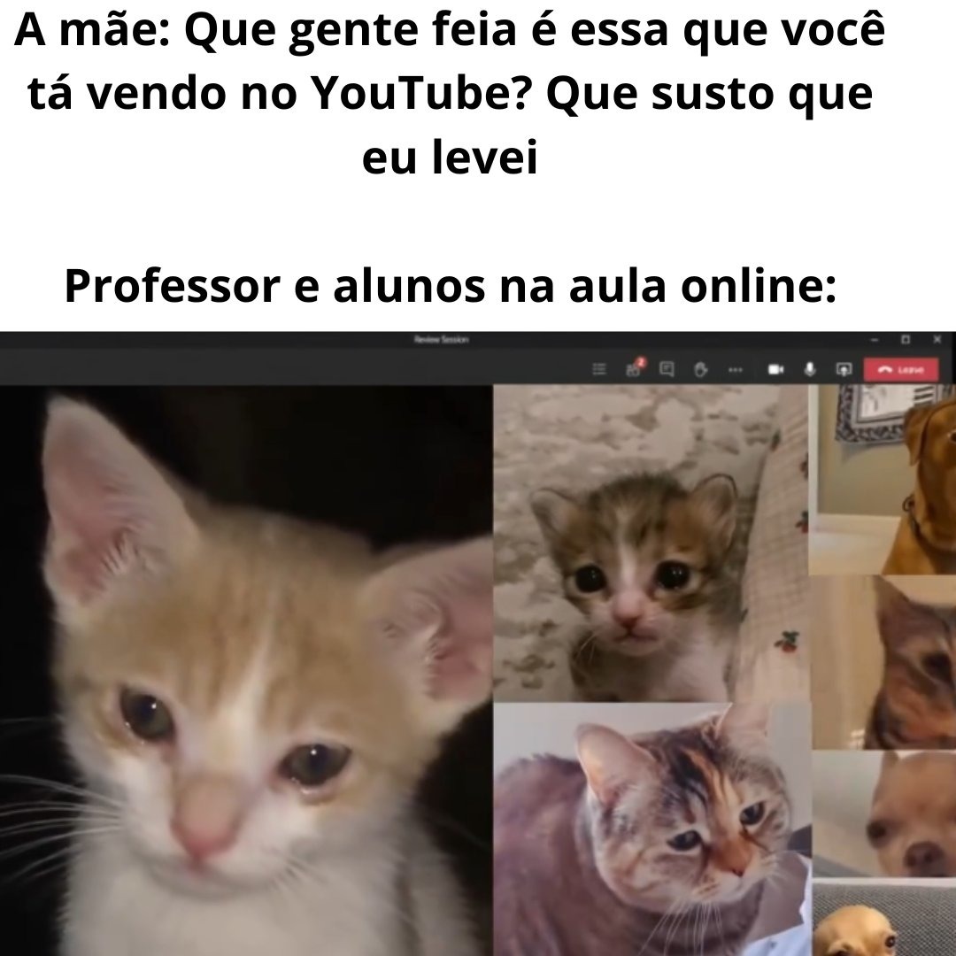 Tio Tério, o seu coveiro favorito. - meme