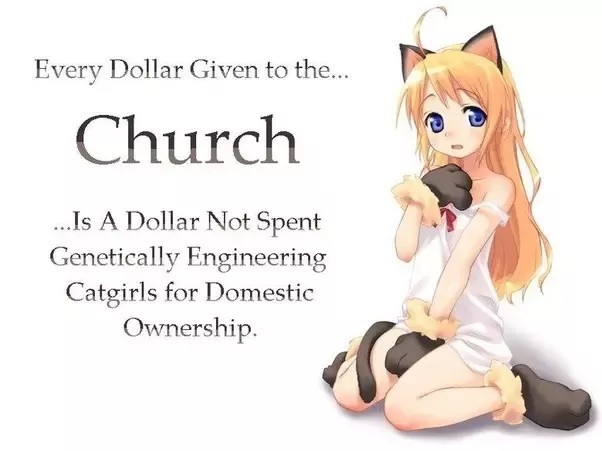 Fuk the catgirls - Meme by GrammarHitler :) Memedroid