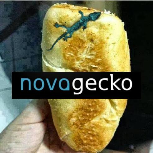 novagecko - meme