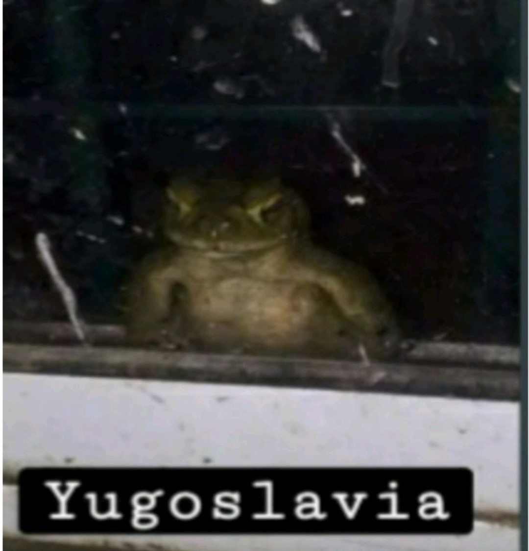 Yugoslavia - meme