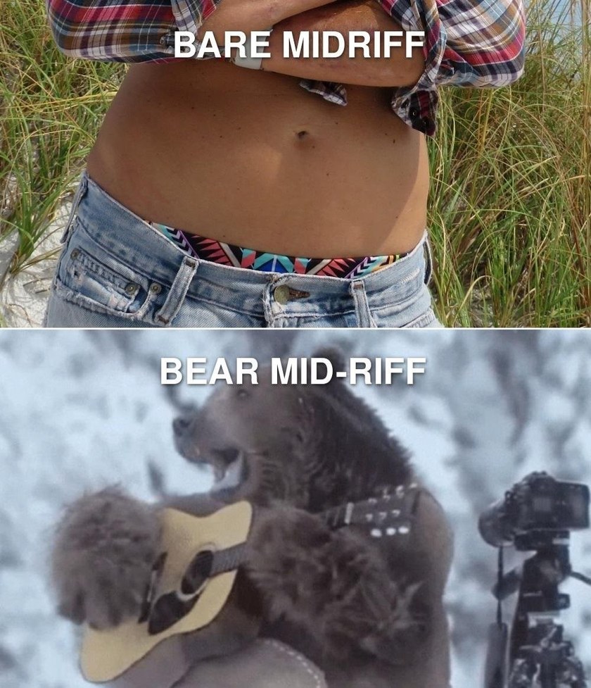 Grin and bear it - meme