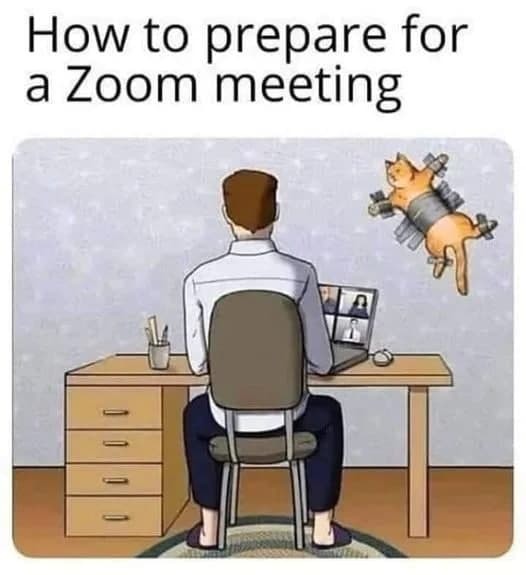 Zoom meetings - meme