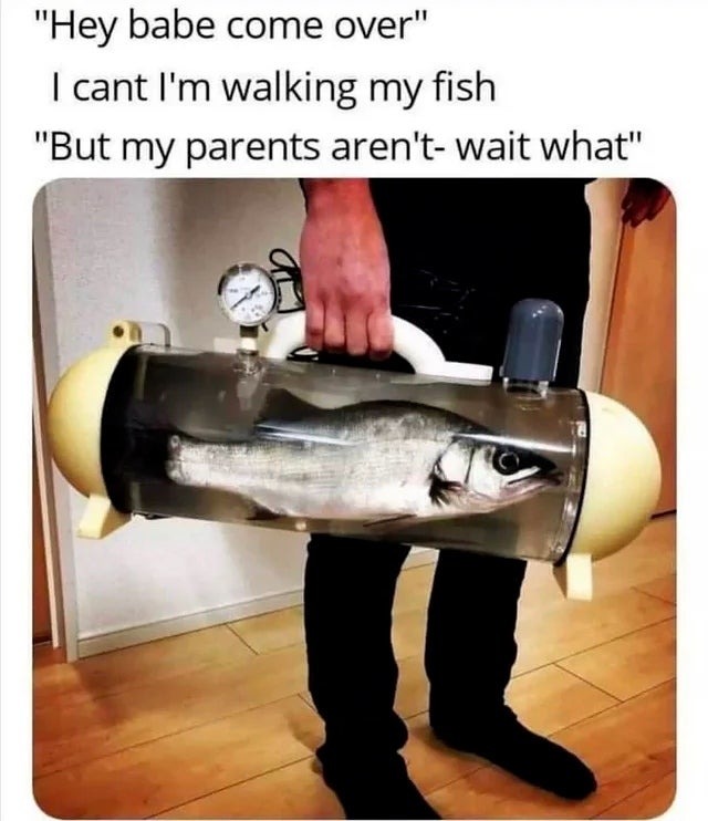 I'm walking my fish - meme
