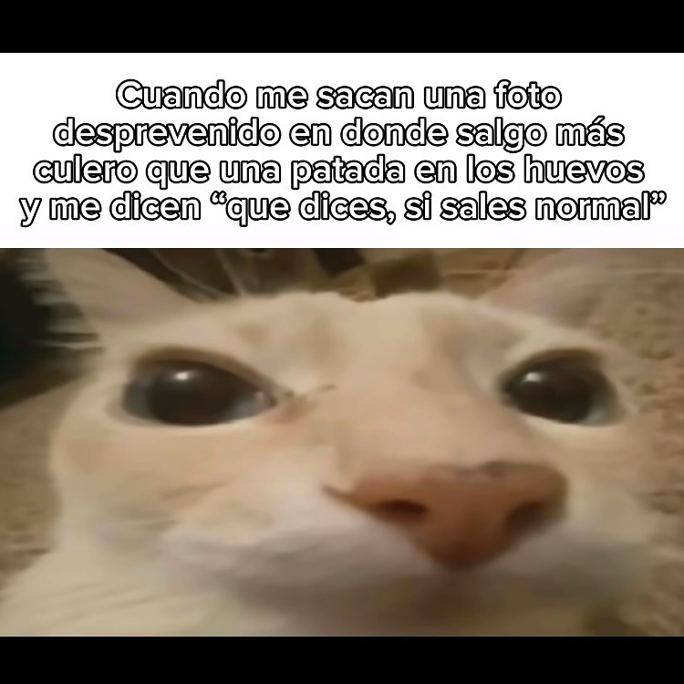 Me sacan una foto fea y encima me dicen que salí normal - meme
