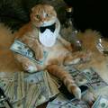 this cat is a wealthy sir