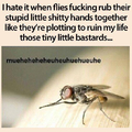 I hate all insects....