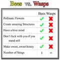 fuck wasps
