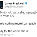 Yoda ride