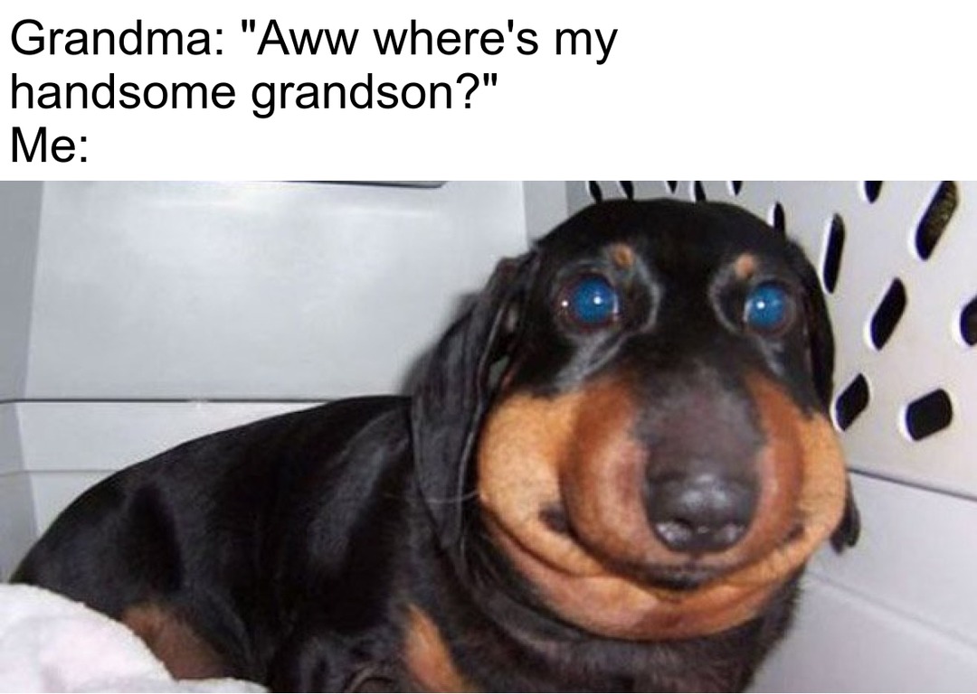 Hi grandma :3 - meme