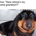 Hi grandma :3