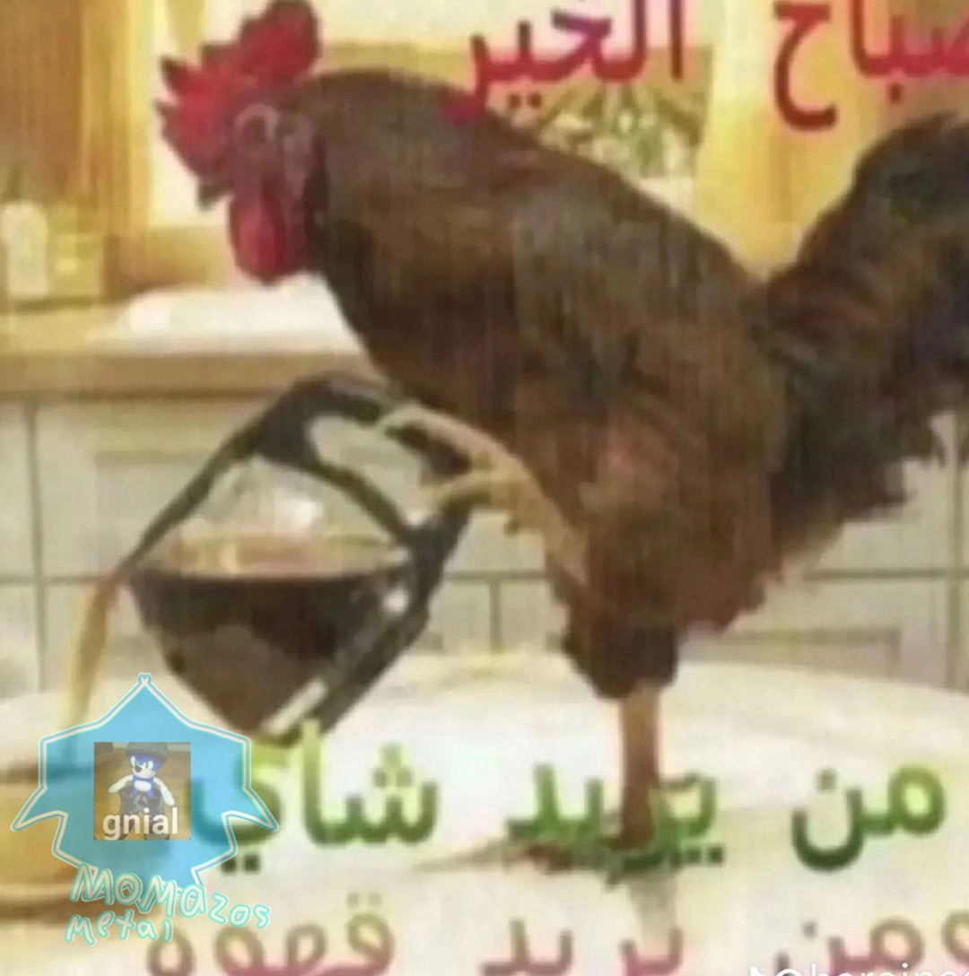 Pollo arabe sad o algo asi - meme