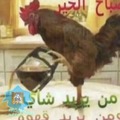 Pollo arabe sad o algo asi