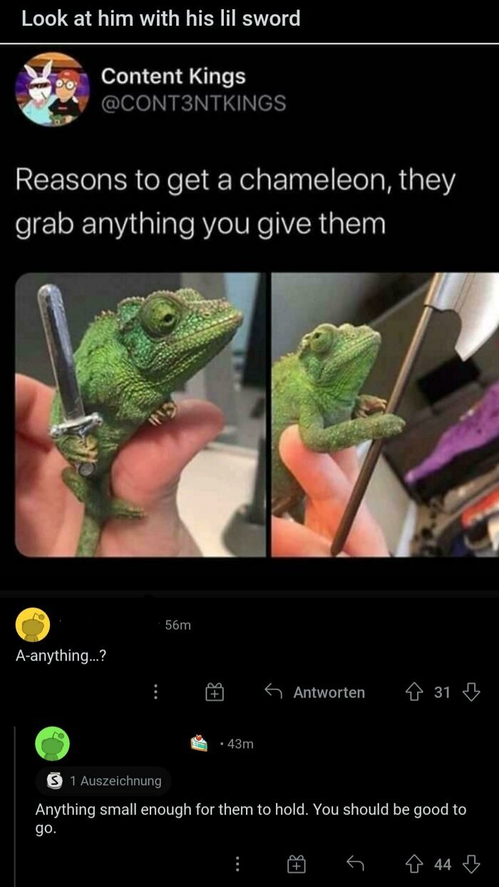 Reasons to get a chameleon - meme