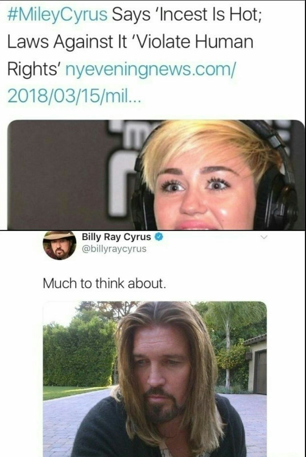 Billy ray cyrus much to think about meme