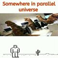 Parallel universe