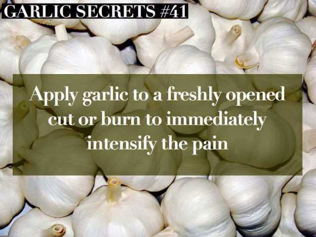 Mmmm Garlic - meme