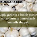 Mmmm Garlic