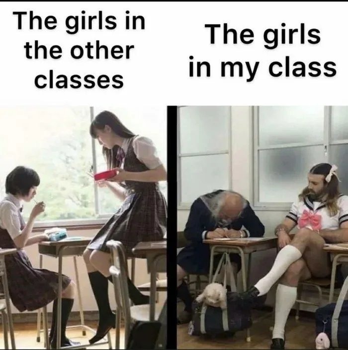 Girls in Japan vs "Girl" in California - meme