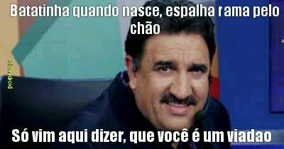 Seu gay - meme