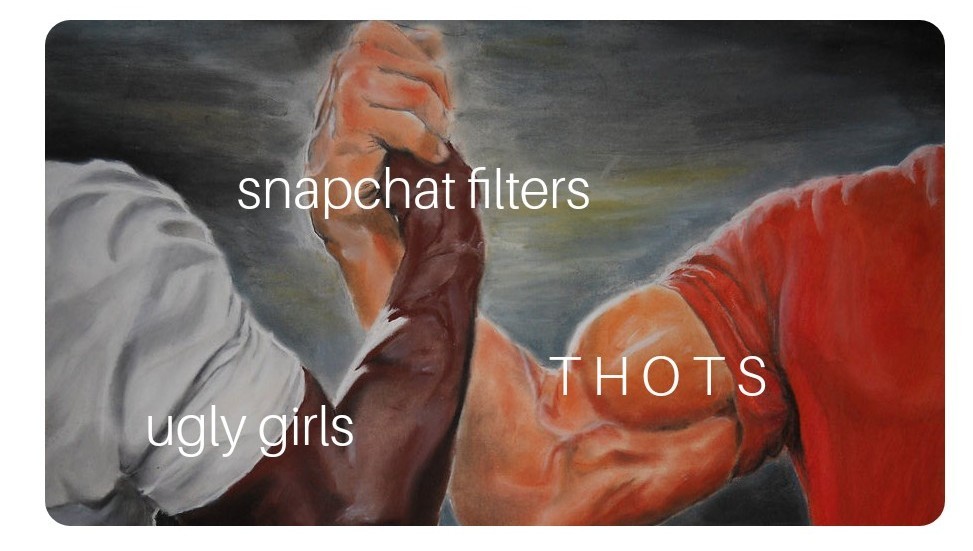 Filter are like another way to cheat on beauty after make-up - meme