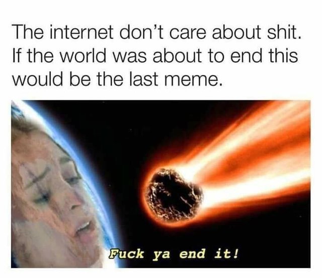 The Internet doesn't care about shit - meme