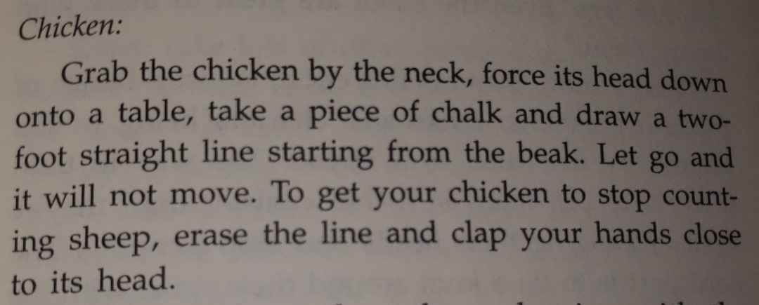 How to hypnotize a chicken. - meme