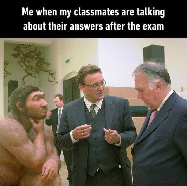 after the exams - meme