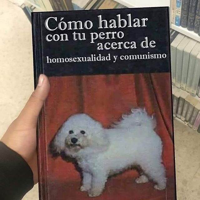 Cómo hablar con tu perro acerca de homosexualidad y comunismo, no lo tengo - meme