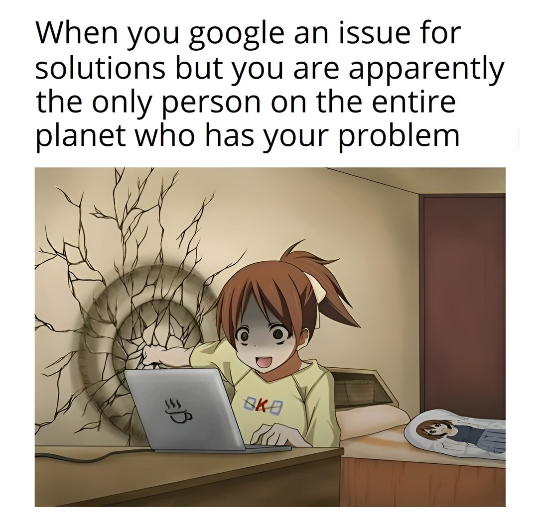 Googling for solutions but not finding any - meme