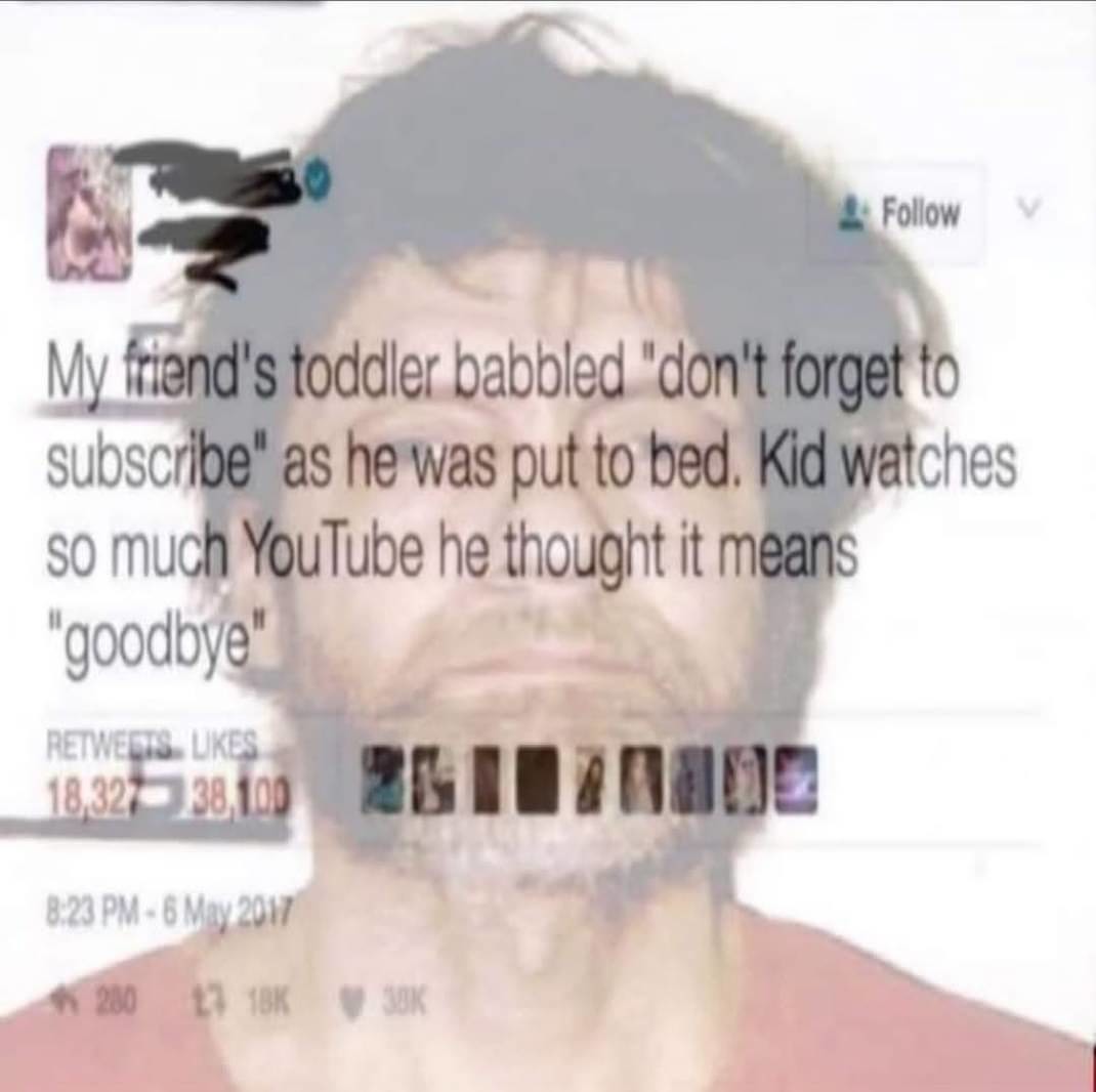 Don't let YT raise your kids - meme