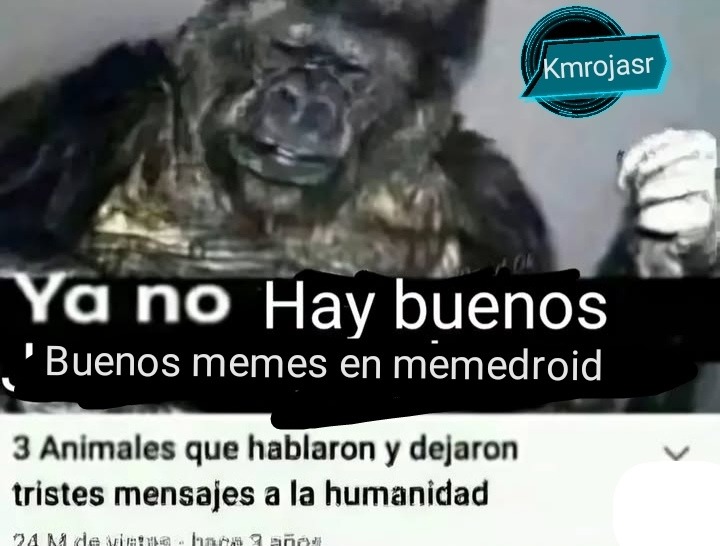 Si - meme
