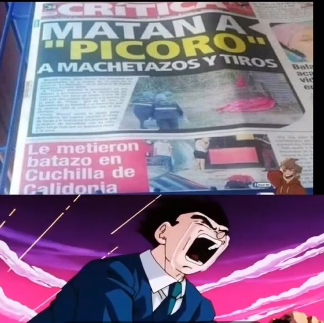 Un namekiano menos - meme