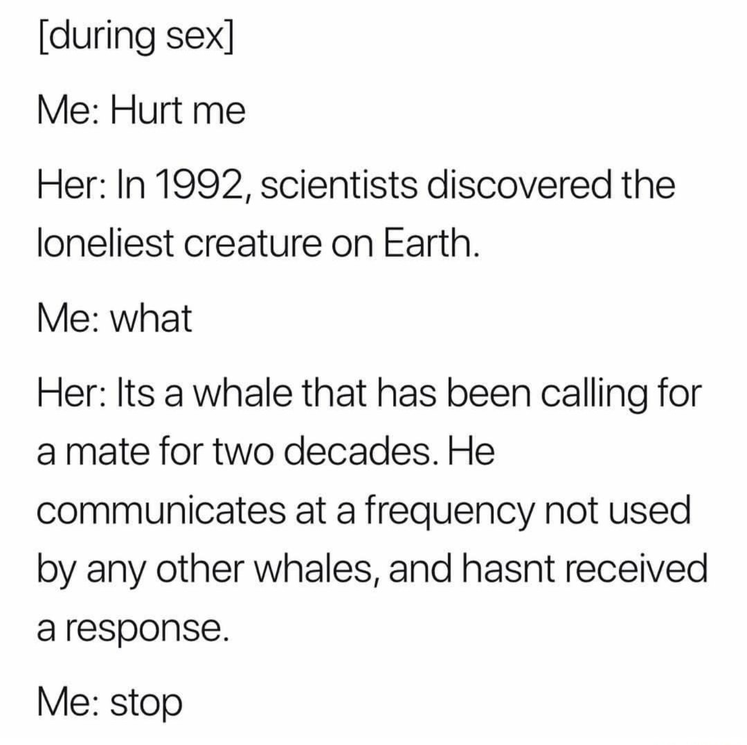 sad whale - meme