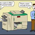dongs in a copier