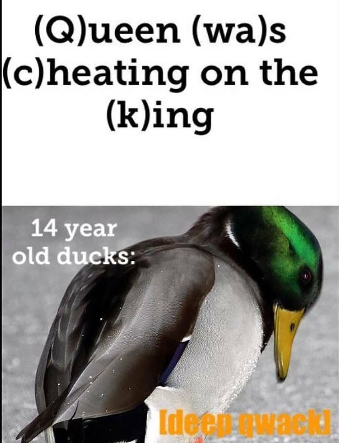 quacking sad - meme