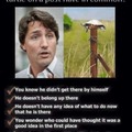 What does Justin Trudeau and a turtle on post have in common?