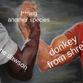 shane and donkey