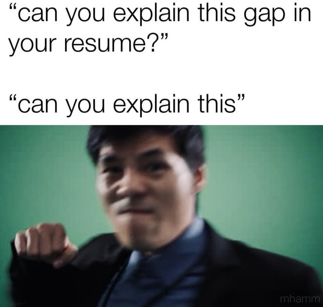 Gap in your resume meme
