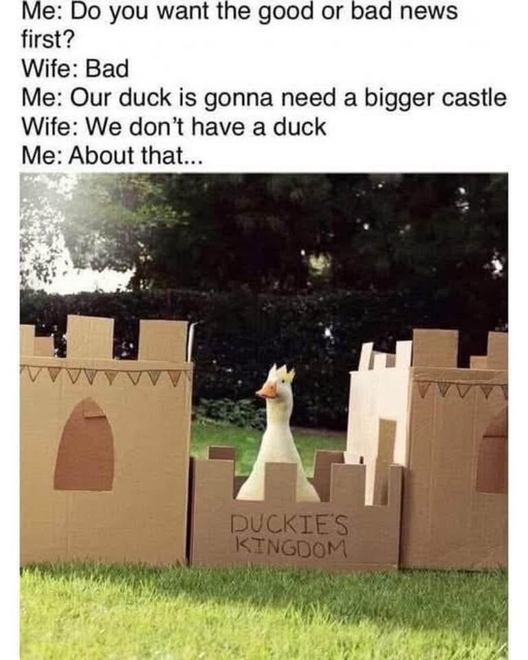 When you ask your friend for help and they deliver the weirdest advice ever - meme