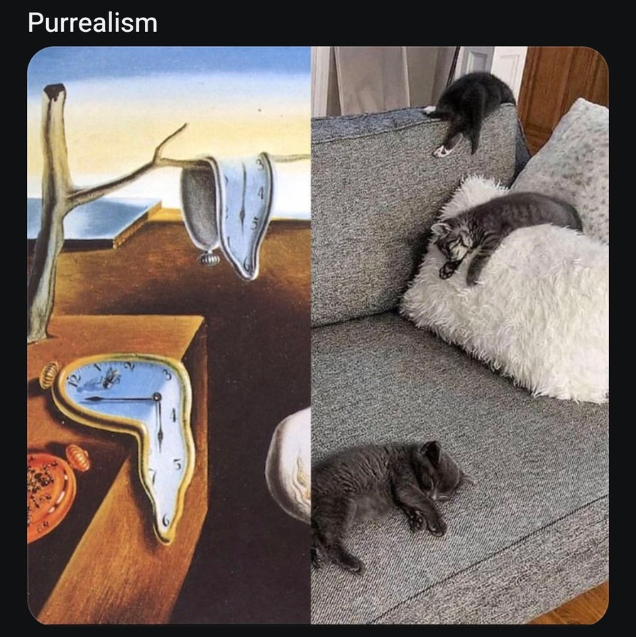 Purrealism is when the cat stares into your soul but makes it artistic - meme